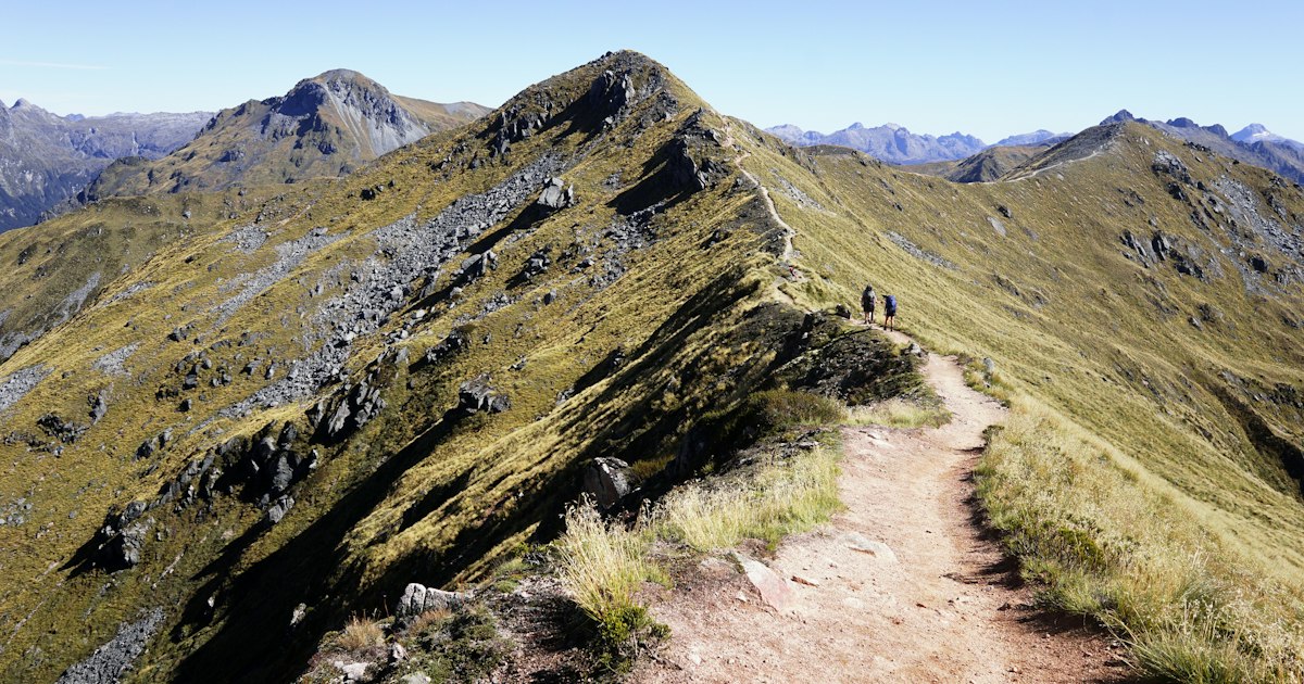 Kepler Track bookings: when hut spots come back