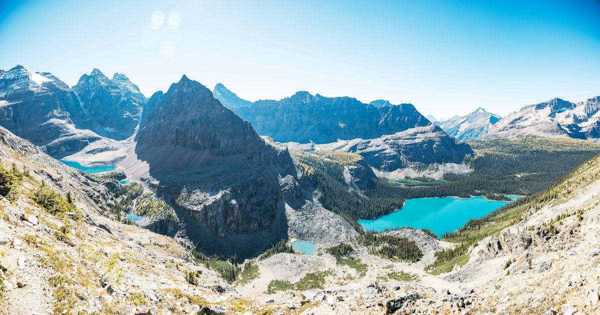 Lake O'Hara bus: how to get a seat after the lottery