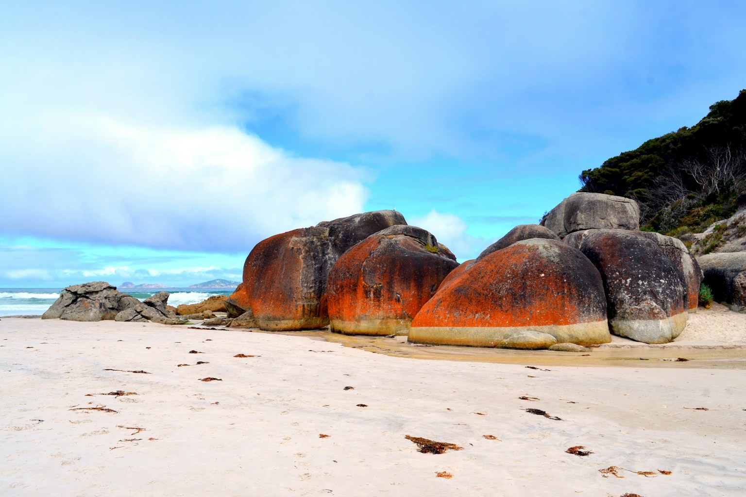 Tidal River booked out? How cancellation alerts actually work